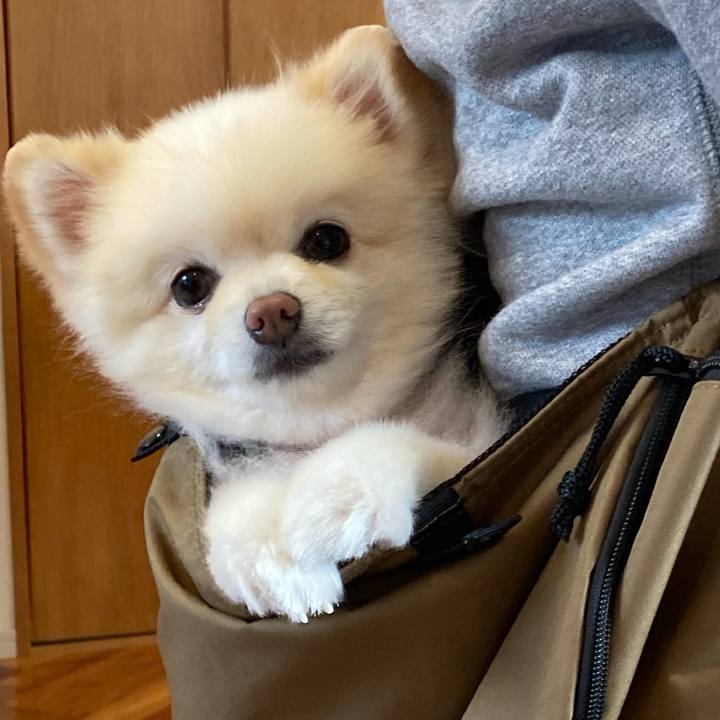 D728120e 8d43 4654 9c8a 66214901ac32 1667128734784