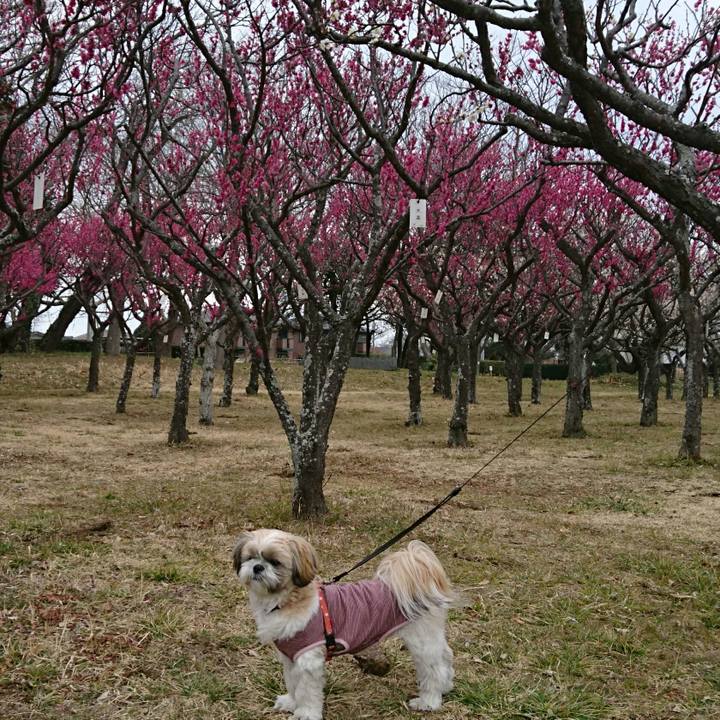 D72858d3 63ad 464b b72e 6ea597bdbf88 1519546308437