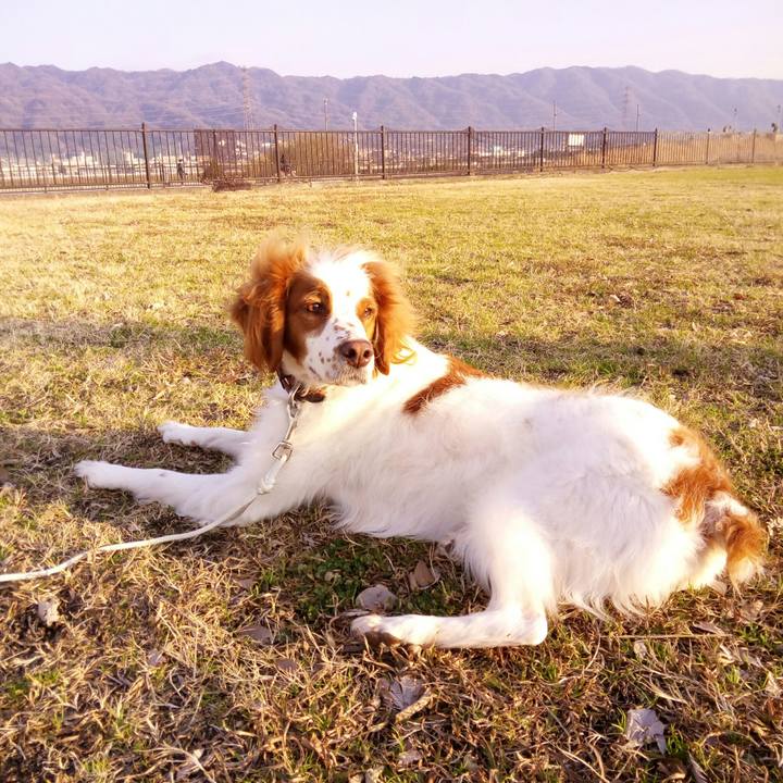 D72867de bd86 4427 a6f7 5122fe9e961e 1516093518997