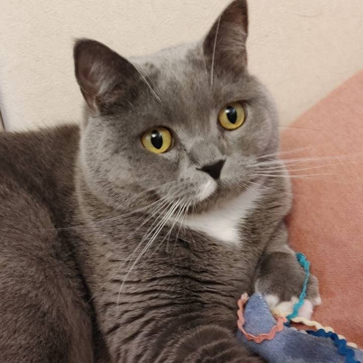 D7286e02 8ac1 4b58 87f5 ef63653250f9 1612666015315