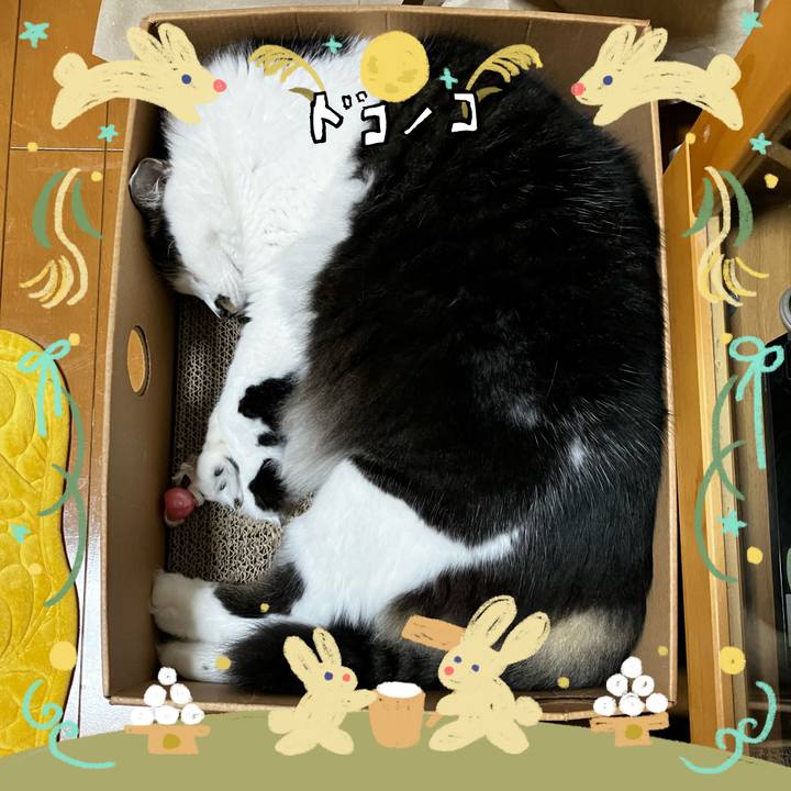 D72876a7 5389 44ae a162 1a1a8110b2c5 1727323053056