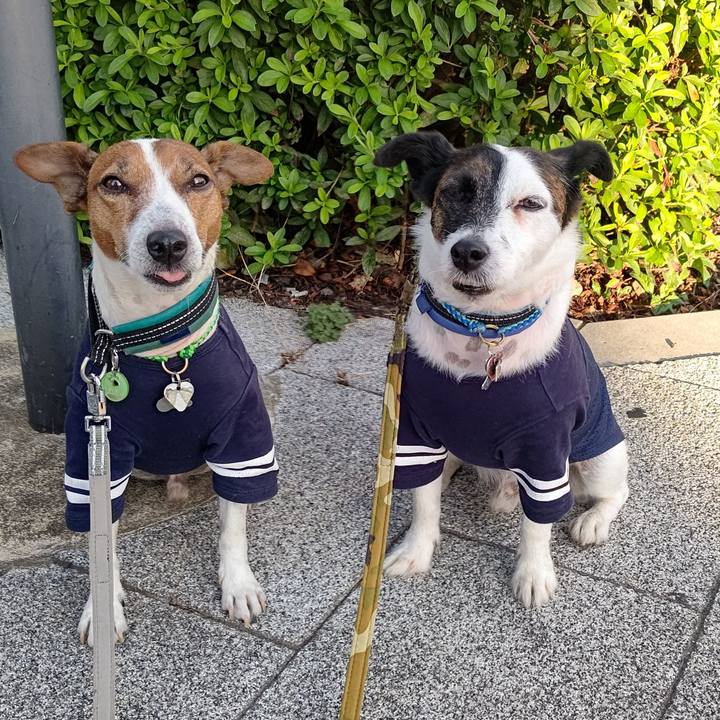 D72895e0 6e4f 4ee5 9242 cd5b3829876a 1696283016420