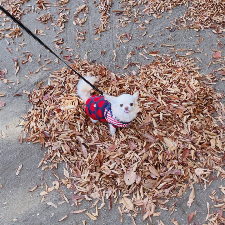 D728d1bd 76bd 4571 8a1c 279e10d5e9dc 1763975209300