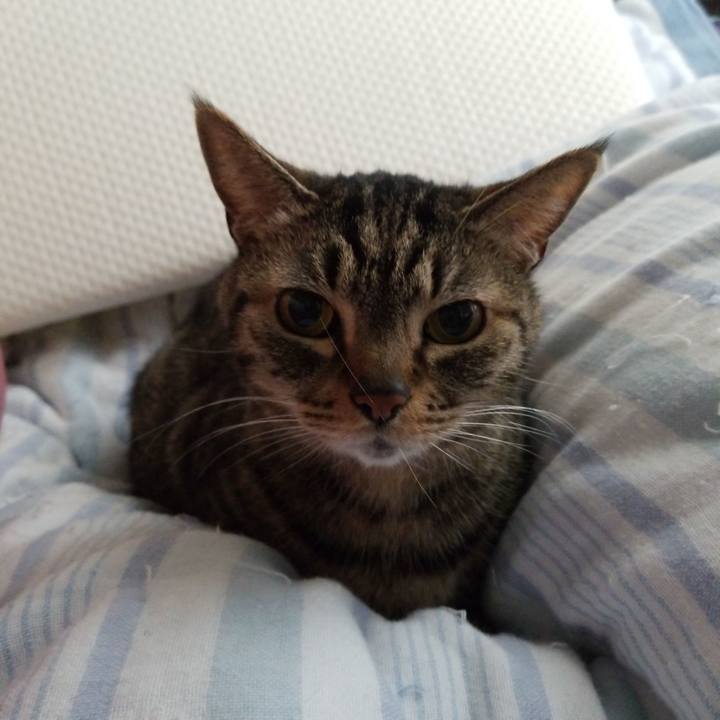 D7290650 1756 4d61 addf ac410809f5b4 1588377978839