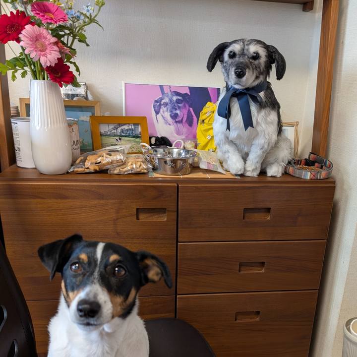 D729241c 86f7 4c52 8eab 0d3550a40e38 1745822430448