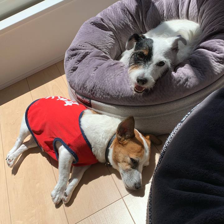 D72928a9 ead9 4647 b5b7 4ca19129b3ab 1630121315860