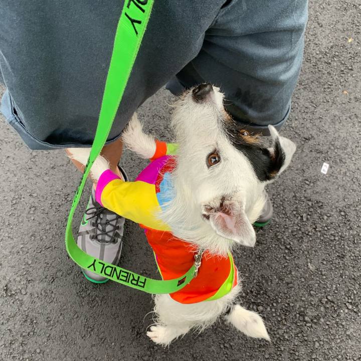 D7297351 6152 4388 8bc8 b55910315fda 1623833666465