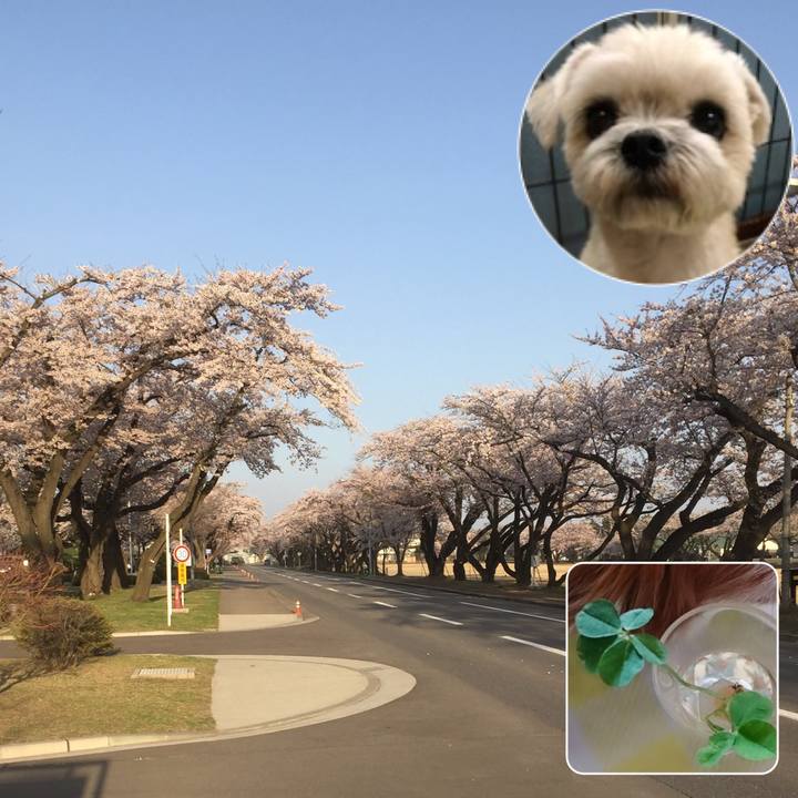 D7299127 255b 46ba a5f8 209cce8c86e6 1524300464930