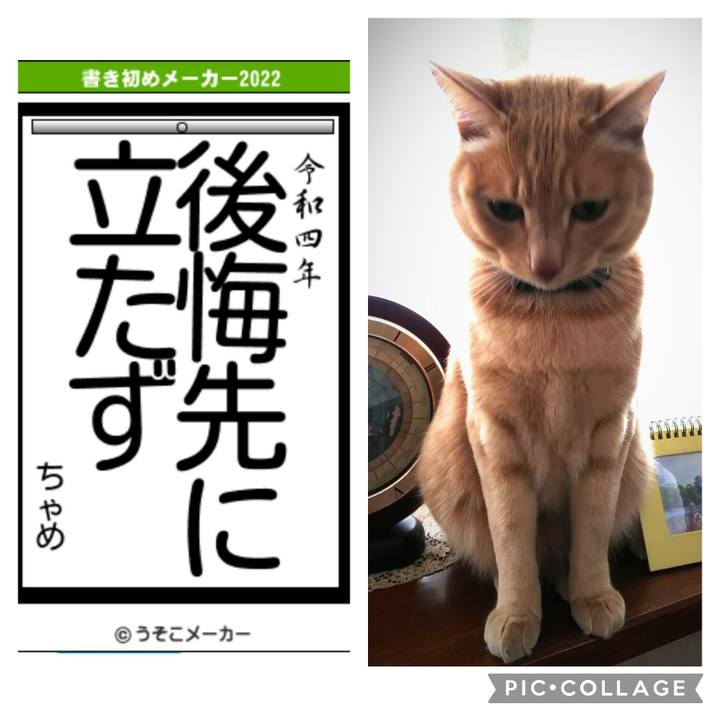 D7299178 5958 4748 8246 92a3dd2d31fa 1641180046217