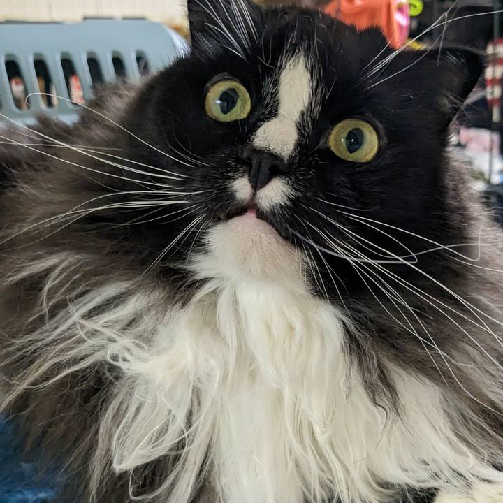 D729ac4c f32b 474b 9a09 27630d9a57c9 1691851006859