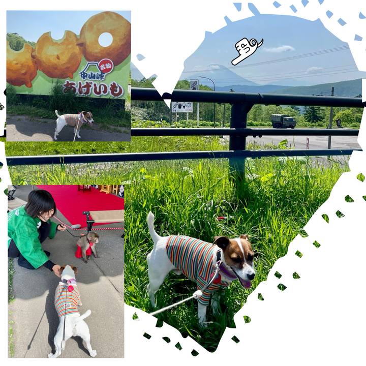 D729d3c3 453c 40ca bb36 8583e97e47c1 1718922526321