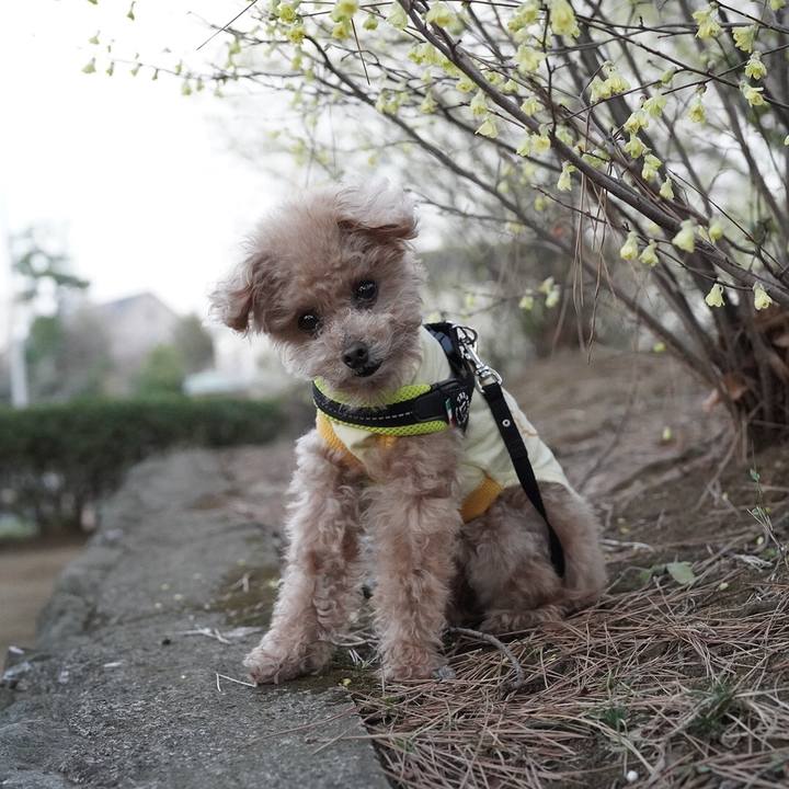 D729ed3d b5b4 407b 8cef 6053ec7c2120 1678885673055