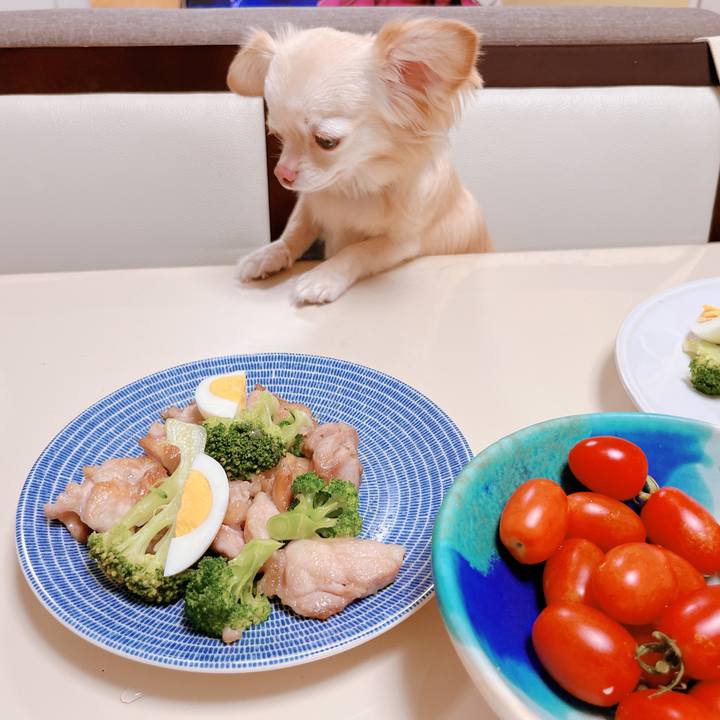 D729f5e4 9405 4014 ac50 77749e5e8cc9 1658319166678