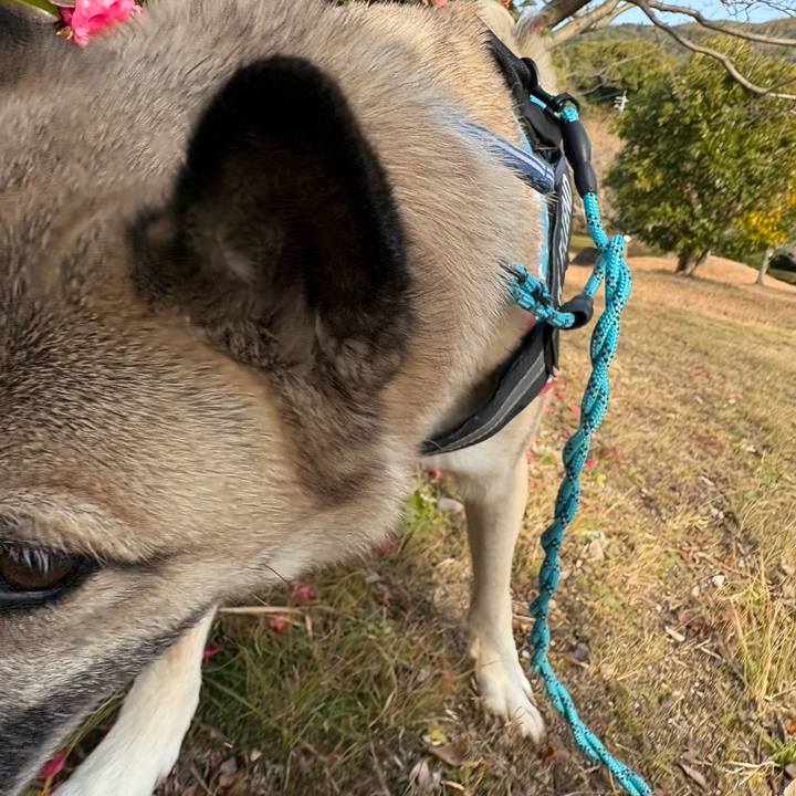 D72a3e44 8774 4d32 8d27 a691d43bc724 1737195643115