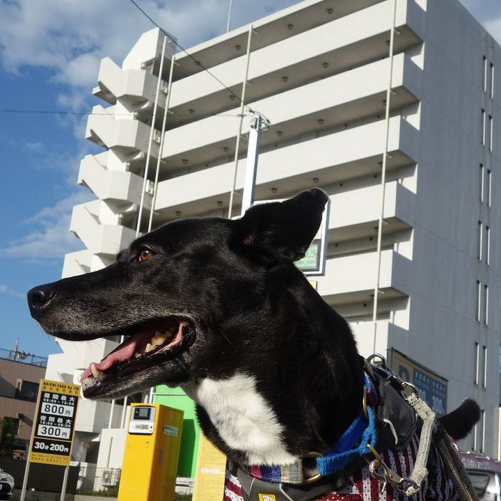 D72a486f 5509 479c a9a7 c3e4aaefd2ee 1659308873873