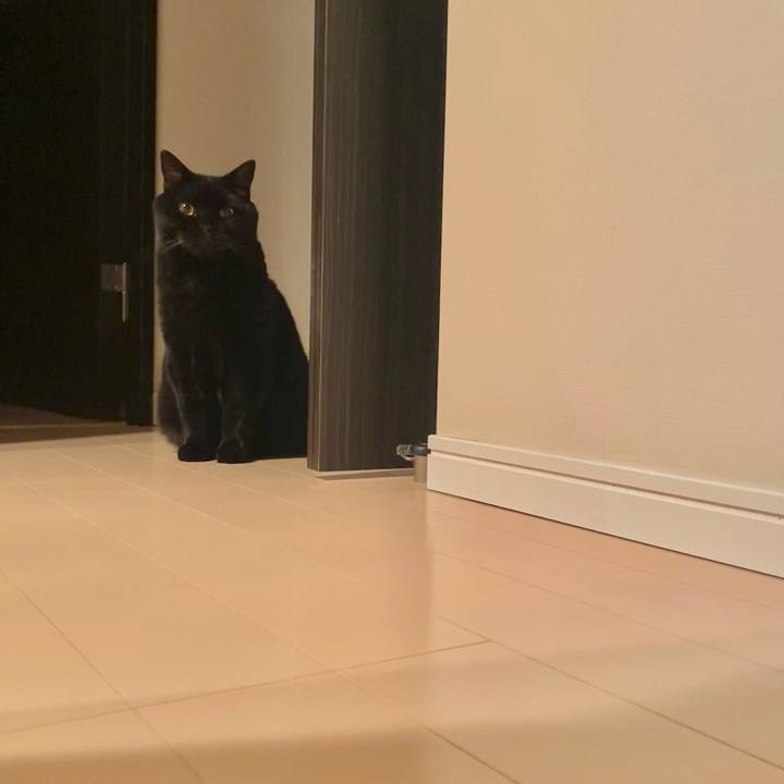 D72a6056 a7b0 429d 888a 7b8e26460f49 1758894605983