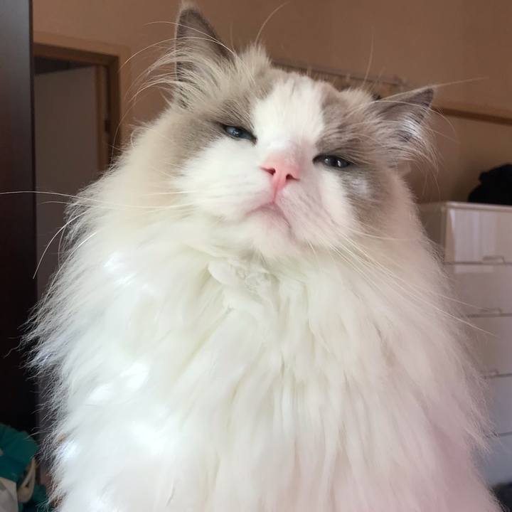 D72addb6 e313 429e bec4 0dda75cf28fb 1574622258075