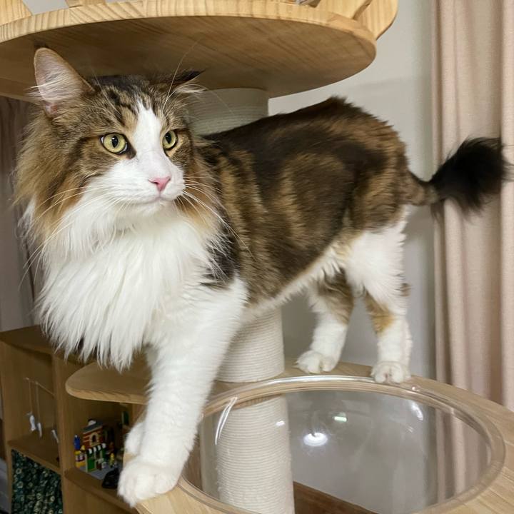 D72ae9f4 a216 4b1d be9f f4c05bd7bf2d 1693599734706