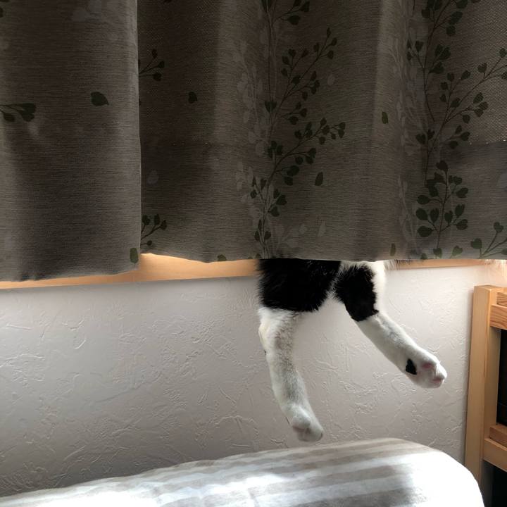 D72af023 43a0 41db 800c 5efca83e7304 1584832105093