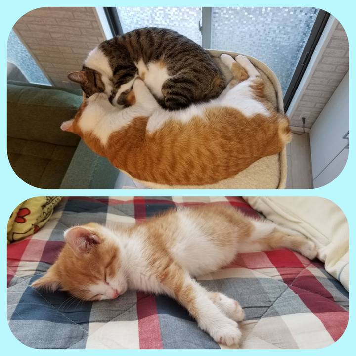 D72b1254 c779 4cc1 a201 4c514f2e880f 1532651453485