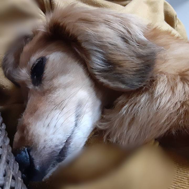 D72b510d 56af 42df b653 1cbf7f0257ba 1616851738121