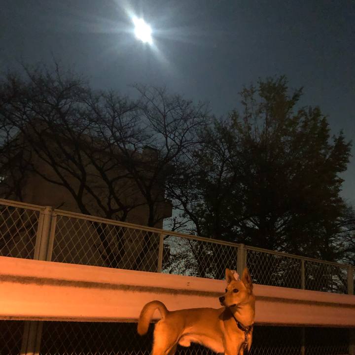 D72b7354 1683 48e8 ade6 f4ab607cbec7 1573472845094