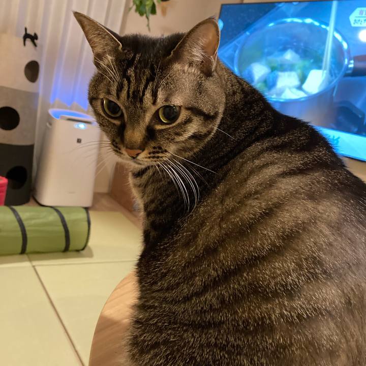 D72baffe 635e 4ab2 9ebc 0971c686ae10 1640608146398