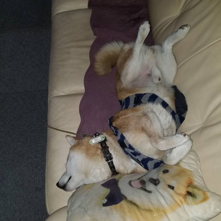 D72c009f bed1 4c1e 82ae af1619ae662d 1671197868107