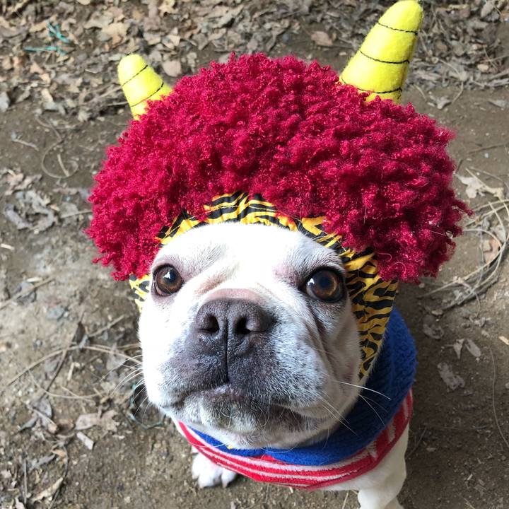 D72c0d4d d077 4078 bfd8 f4fc1a030eca 1517637710105