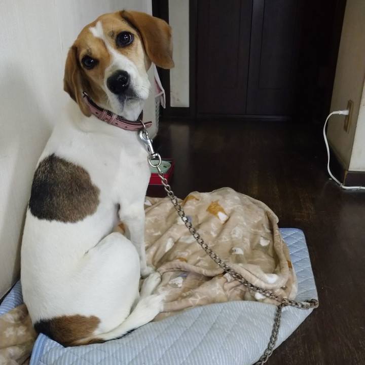 D72cc992 0207 4122 8a14 c1ed1d8d1ebe 1601005762062