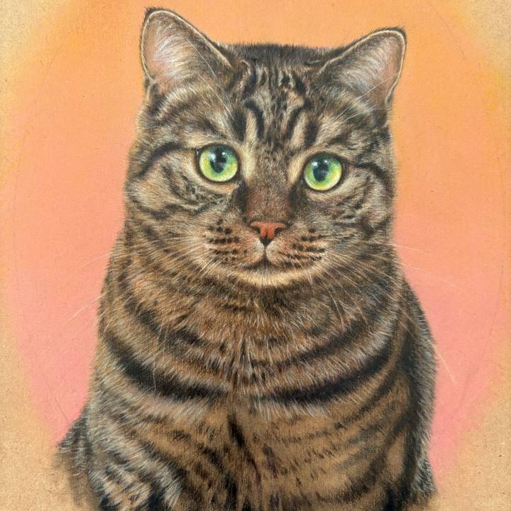 D72cdfe6 cf4d 47c6 8f38 9439ee7e0038 1766911327879