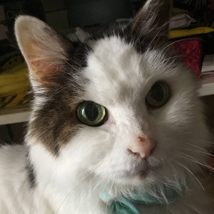 D72d015e 451b 4782 8449 5aa64eb8c99b 1574909014639