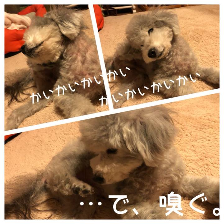 D72d078c b56b 46ca a60b 2f9573b6d869 1712110419320