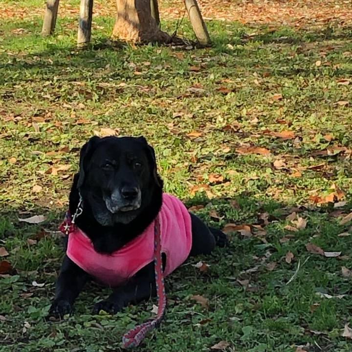 D72d1a55 be1b 4fec abfe ea5a11ad9a42 1576806200272