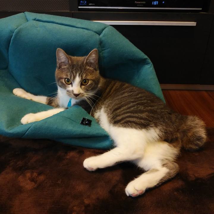 D72d72ec 92ca 4d18 822d d8f60f5fb58d 1576204726712