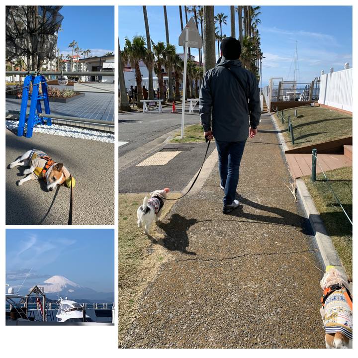 D72d9e2c 8b8e 41fe ba62 470f7745063c 1580613715042