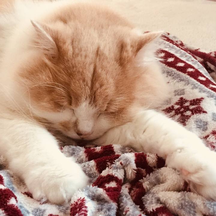 D72db9a5 7cfb 40a7 bdb3 34c738b79e1f 1507877457167