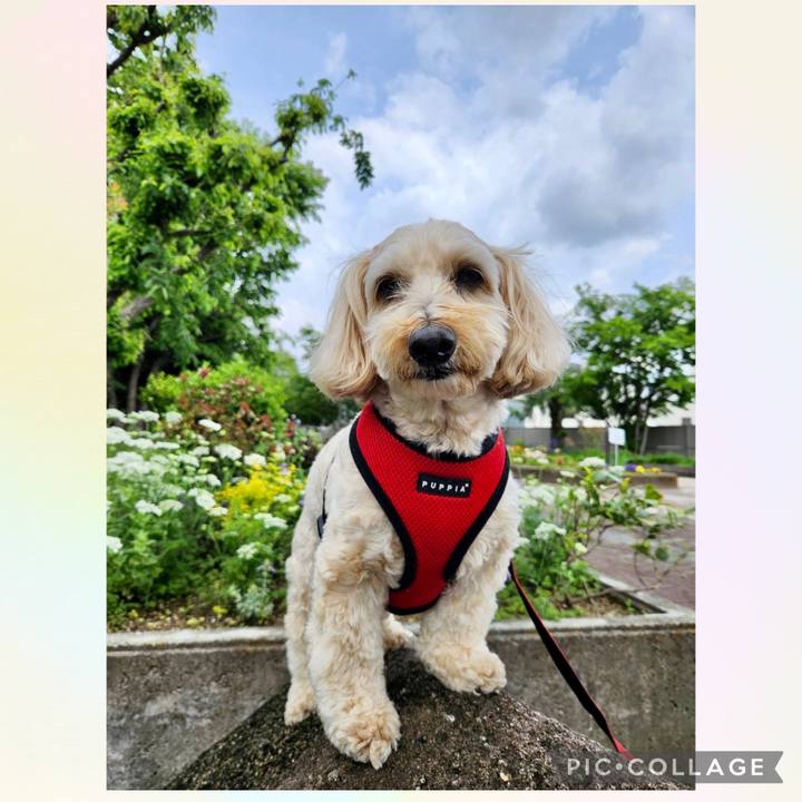 D72dc519 d2ce 47a8 aec8 33cd4929a639 1777107775820