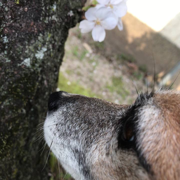 D72dcb50 bbc0 4559 98d1 a273b602ad41 1522498663718