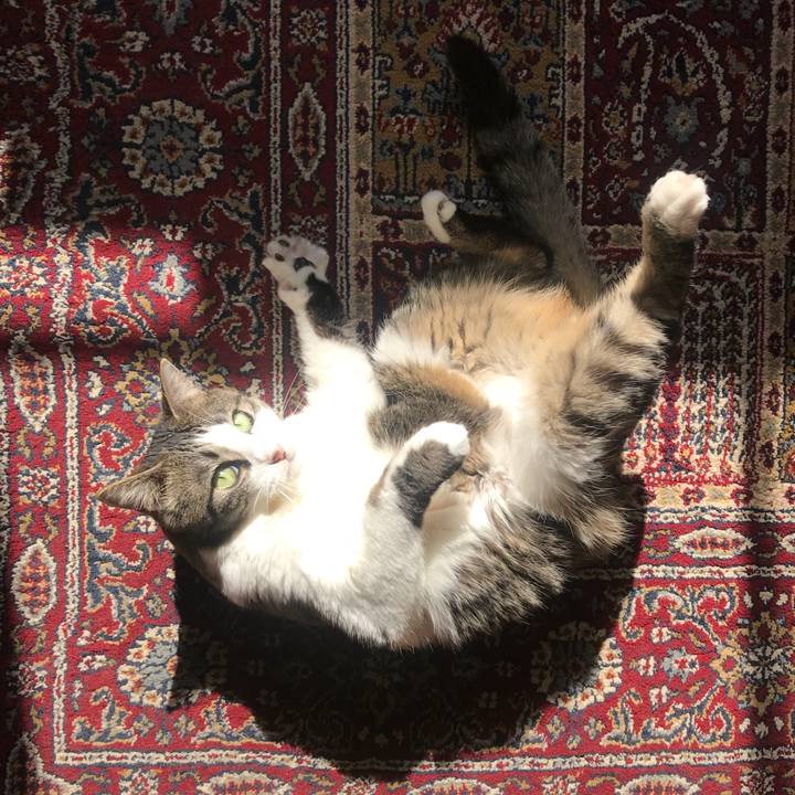 D72dd1ec 68de 4fee b348 05c4b3de7a04 1524707320479