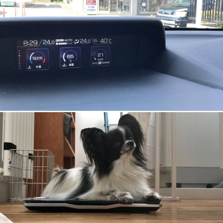 D72dd24f 822b 43be b967 1bf82b95f149 1531701775483