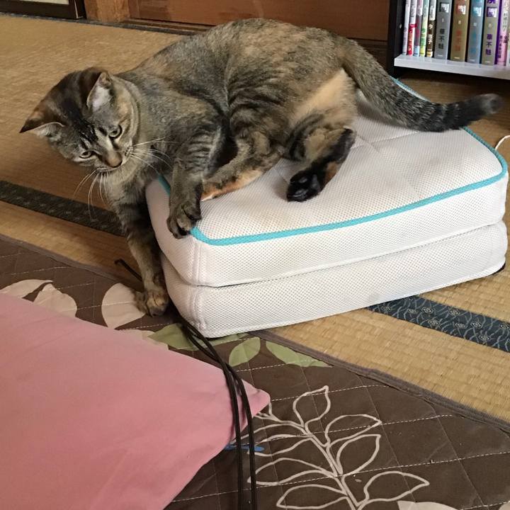 D72dd313 8ac6 4306 9ae2 251f9c6efab8 1586418131640