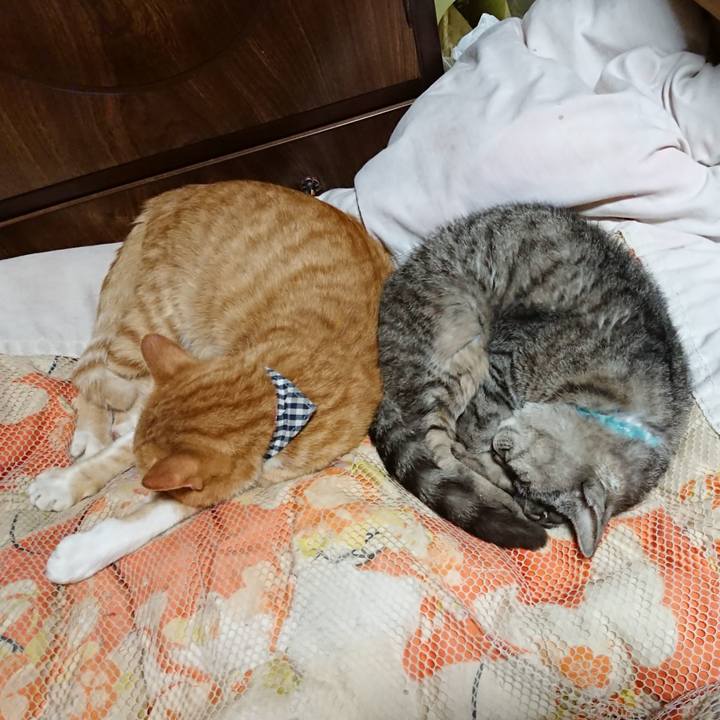 D72dd9a3 301d 44af bfa7 af4060405956 1570710245489