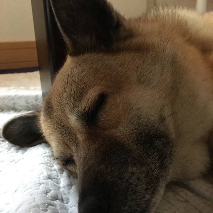 D72e19f5 ab69 4aa3 86ca aaeda05480fa 1530756255258