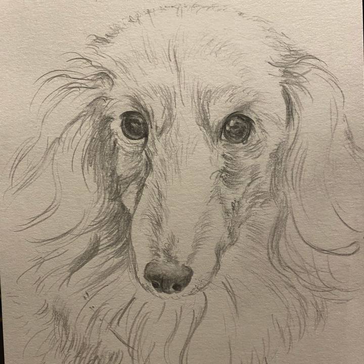 D72e2b04 5e91 4660 8a95 b449609577b5 1621685978172