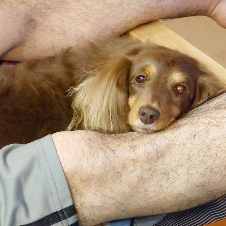 D72e35f9 a2c1 4c58 a4cf b6687de662fb 1638284378295