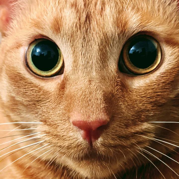 D72e3e86 dfd5 4144 b844 5d350ff33cdd 1623332618889