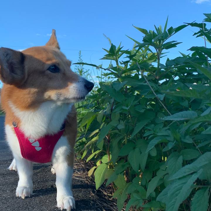 D72e3f40 9e41 49df 8869 08e259ee7fe7 1723848047794