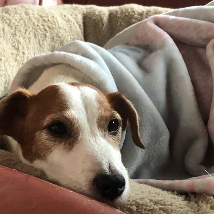 D72e43ee 7757 4b86 98f9 8c78e478c77c 1762402839344