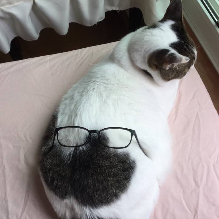 D72e5901 8c0d 45d7 8700 77f206b57ec2 1588824100874